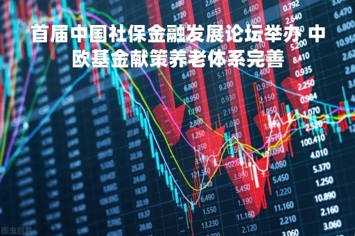 首届中国社保金融发展论坛举办 中欧基金献策养老体系完善