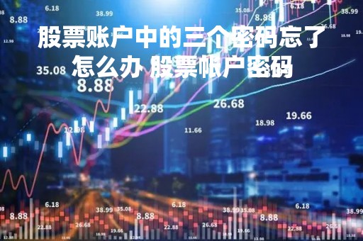 股票账户中的三个密码忘了怎么办 股票帐户密码