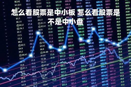 怎么看股票是中小板 怎么看股票是不是中小盘