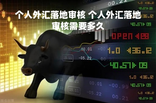 个人外汇落地审核 个人外汇落地审核需要多久