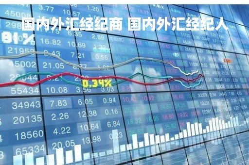 国内外汇经纪商 国内外汇经纪人