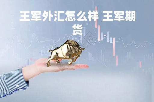 王军外汇怎么样 王军期货