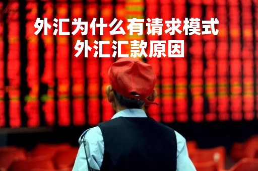 外汇为什么有请求模式 外汇汇款原因