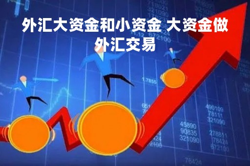 外汇大资金和小资金 大资金做外汇交易