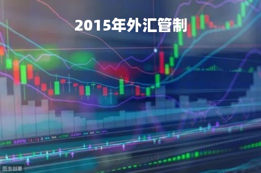 2015年外汇管制
