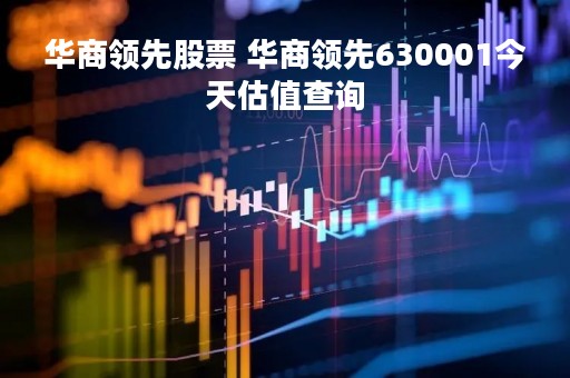 华商领先股票 华商领先630001今天估值查询