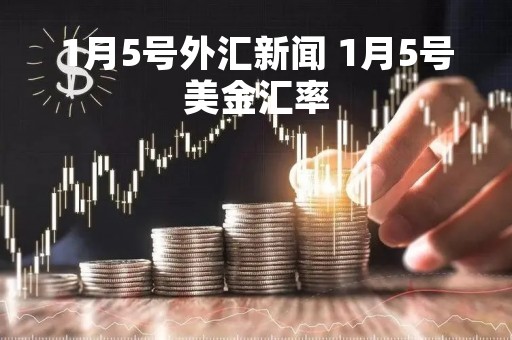 1月5号外汇新闻 1月5号美金汇率