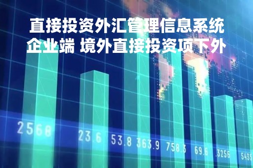 直接投资外汇管理信息系统企业端 境外直接投资项下外汇登记包括