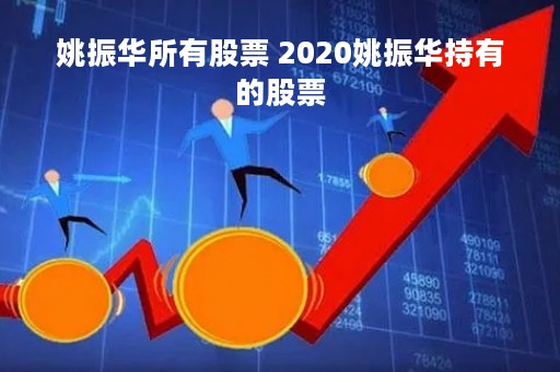 姚振华所有股票 2020姚振华持有的股票