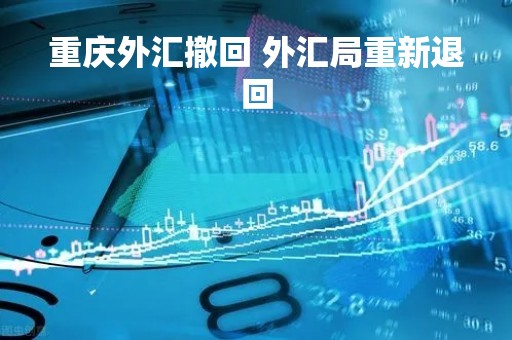 重庆外汇撤回 外汇局重新退回