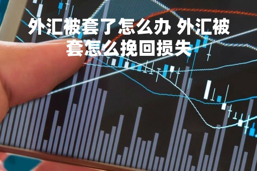 外汇被套了怎么办 外汇被套怎么挽回损失