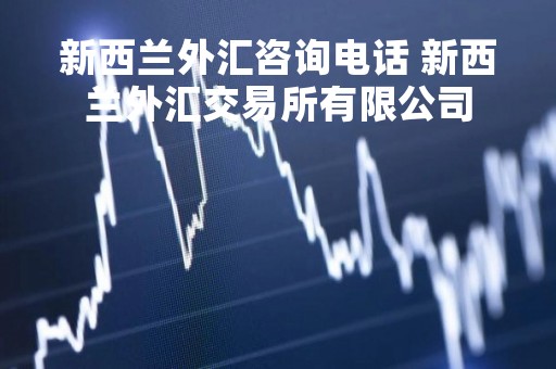 新西兰外汇咨询电话 新西兰外汇交易所有限公司