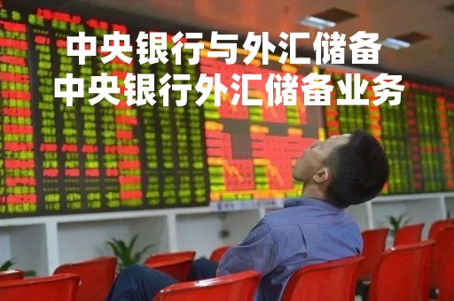 中央银行与外汇储备 中央银行外汇储备业务