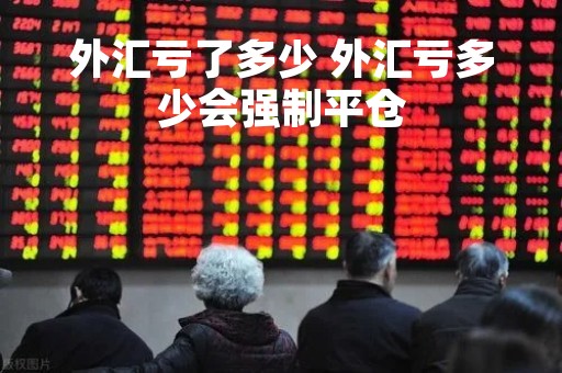 外汇亏了多少 外汇亏多少会强制平仓