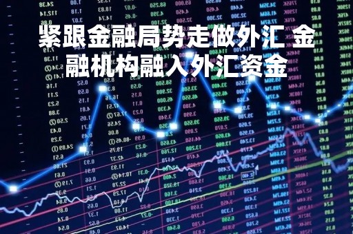 紧跟金融局势走做外汇 金融机构融入外汇资金