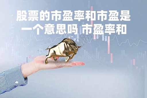 股票的市盈率和市盈是一个意思吗 市盈率和股票的关系