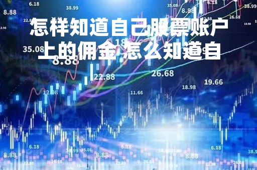怎样知道自己股票账户上的佣金 怎么知道自己股票账户的佣金是多少