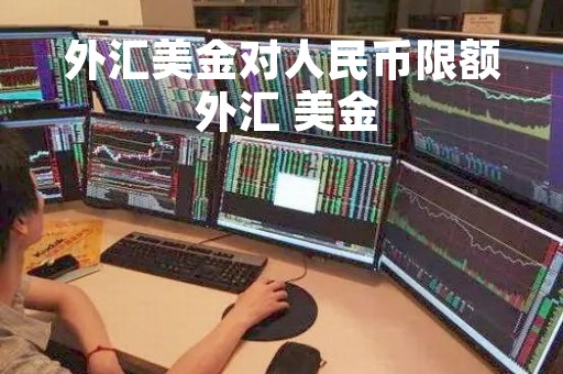 外汇美金对人民币限额 外汇 美金