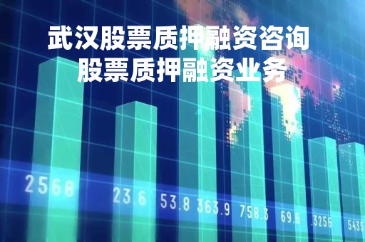 武汉股票质押融资咨询 股票质押融资业务