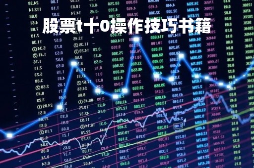 股票t十0操作技巧书籍