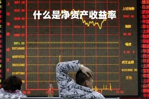 什么是净资产收益率