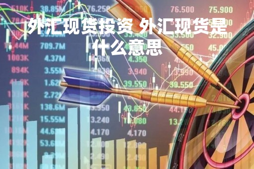 外汇现货投资 外汇现货是什么意思