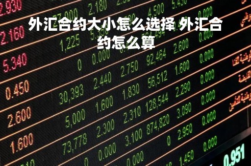 外汇合约大小怎么选择 外汇合约怎么算
