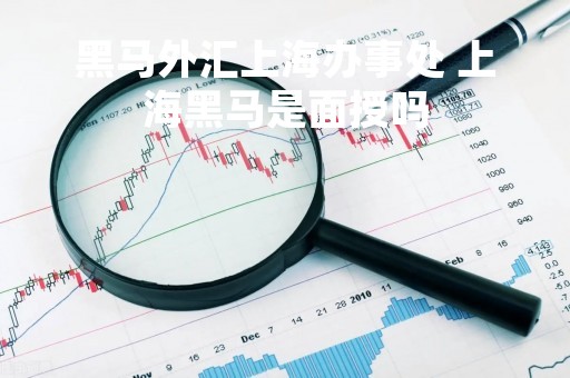 黑马外汇上海办事处 上海黑马是面授吗