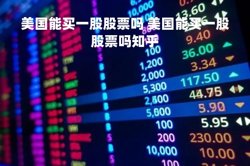 美国能买一股股票吗 美国能买一股股票吗知乎