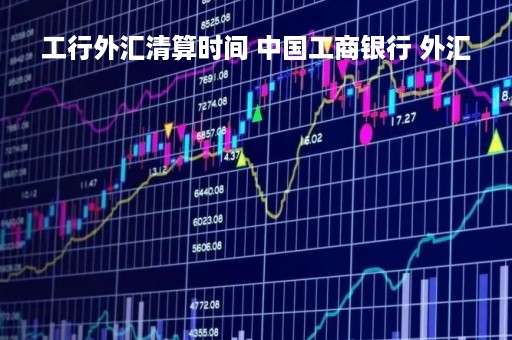 工行外汇清算时间 中国工商银行 外汇
