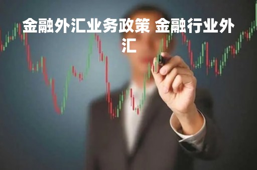 金融外汇业务政策 金融行业外汇