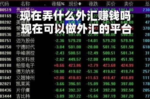 现在弄什么外汇赚钱吗 现在可以做外汇的平台有哪些?
