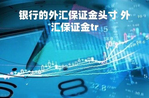 银行的外汇保证金头寸 外汇保证金tr