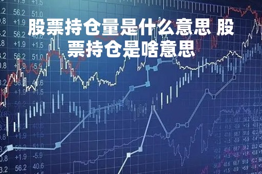 股票持仓量是什么意思 股票持仓是啥意思