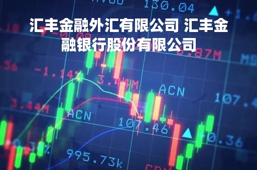 汇丰金融外汇有限公司 汇丰金融银行股份有限公司