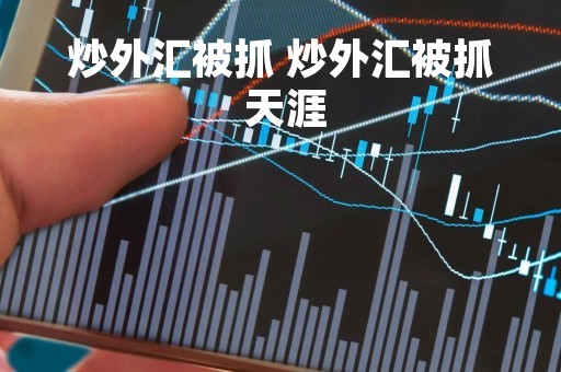 炒外汇被抓 炒外汇被抓 天涯