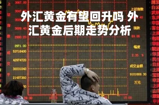 外汇黄金有望回升吗 外汇黄金后期走势分析