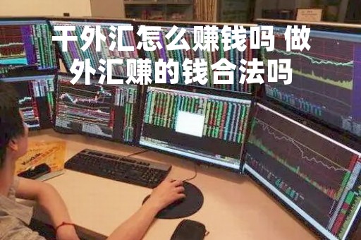 干外汇怎么赚钱吗 做外汇赚的钱合法吗