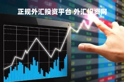 正规外汇投资平台 外汇投资网