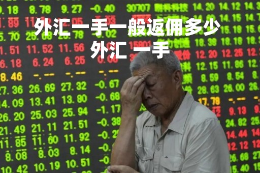 外汇一手一般返佣多少 外汇 一手