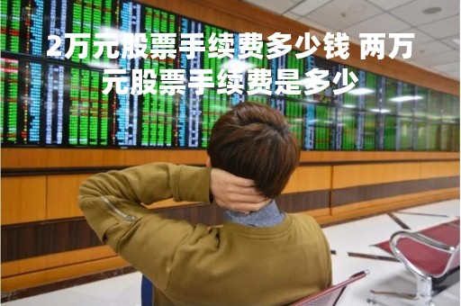 2万元股票手续费多少钱 两万元股票手续费是多少