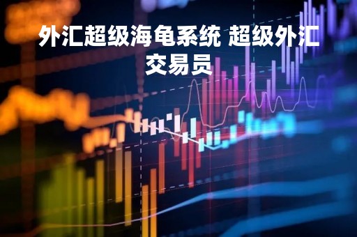 外汇超级海龟系统 超级外汇交易员