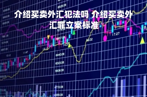 介绍买卖外汇犯法吗 介绍买卖外汇罪立案标准