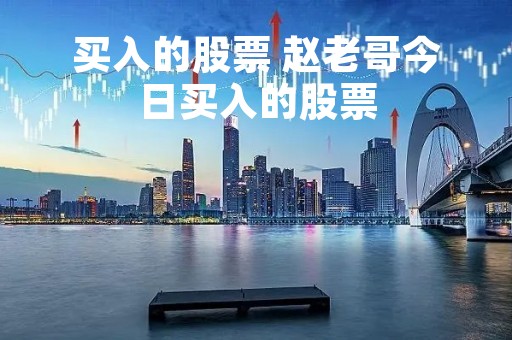 买入的股票 赵老哥今日买入的股票