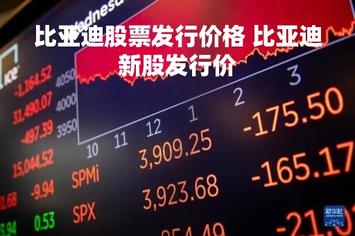比亚迪股票发行价格 比亚迪新股发行价
