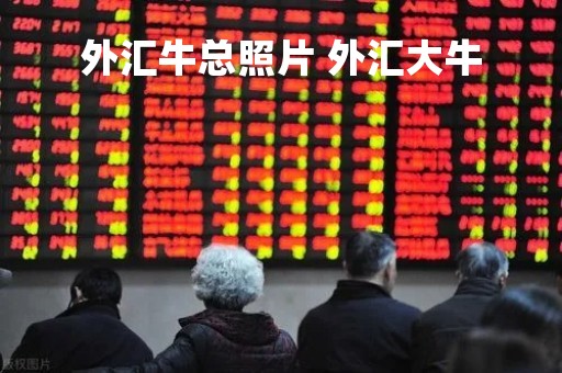 外汇牛总照片 外汇大牛