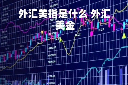 外汇美指是什么 外汇 美金