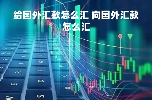 给国外汇款怎么汇 向国外汇款怎么汇