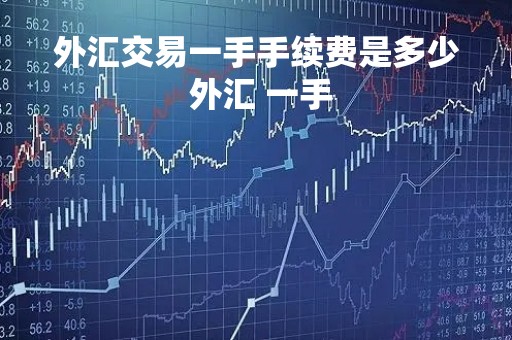 外汇交易一手手续费是多少 外汇 一手