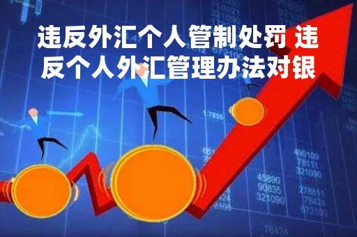 违反外汇个人管制处罚 违反个人外汇管理办法对银行个人处罚